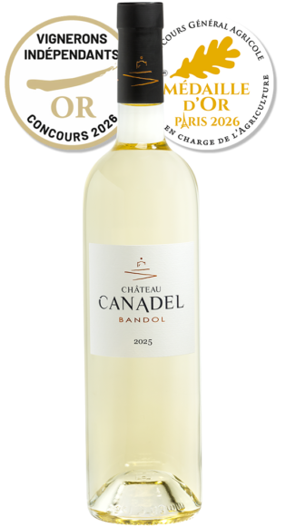 Bandol White 2024 (Copie)